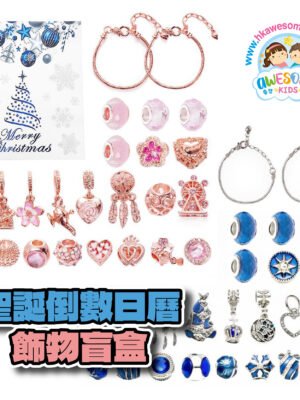 聖誕禮物 - 盲盒